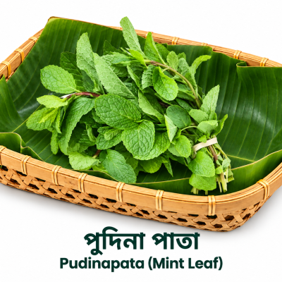Pudinapata (Mint Leaf)